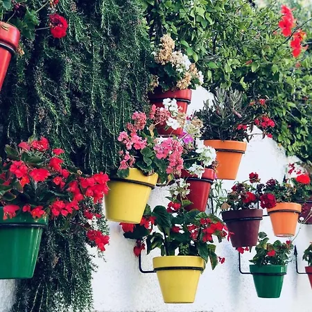 Casa De Dolores Holiday home *